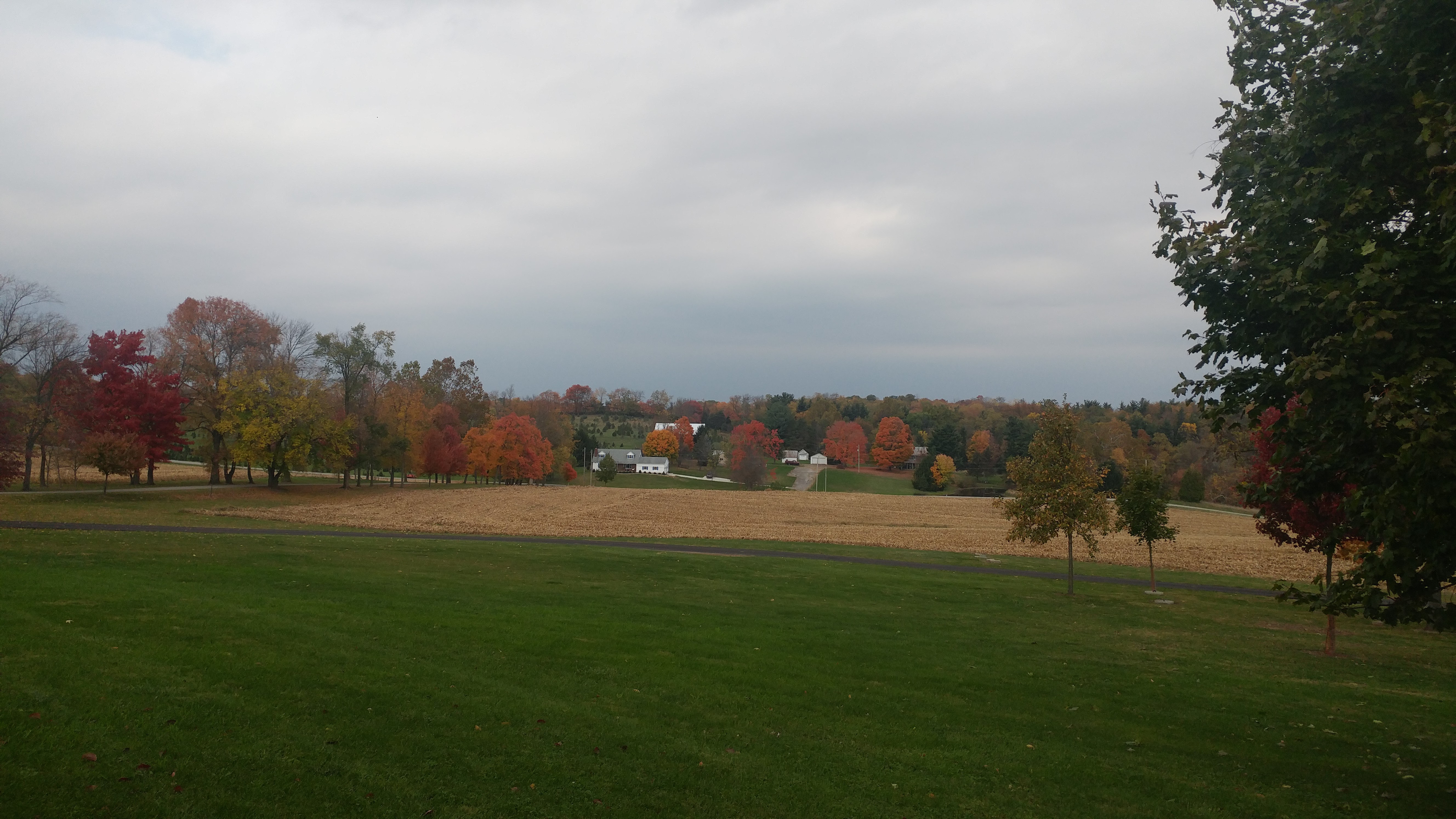 20161030_142409