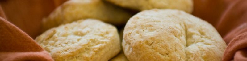 fresh baked biscuits
