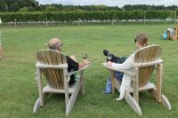 2 people savoring a glass of wine in chairs by the vineyard